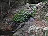 Small cascade above Mcgrory Falls.jpg