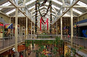 South Towne Center at Christmas