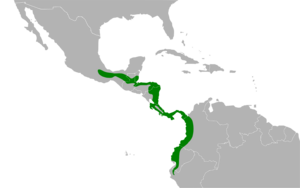 Sporophila corvina map.svg