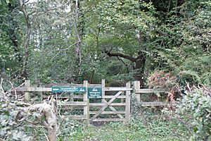 Start of path into Moorgreen Meadows (geograph 6301396).jpg