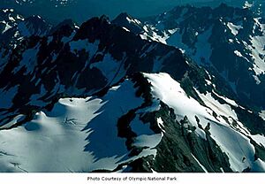 Summit of Mount Queets