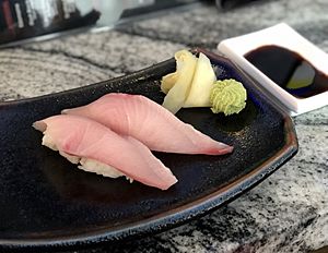 Sushi Fly - December 2018 - Stierch 02