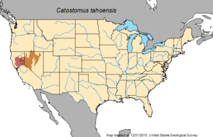 Tahoe sucker map.png