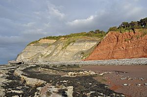 The Blue Anchor Fault - geograph.org.uk - 2455274