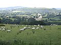 The Towy valley - geograph.org.uk - 520962
