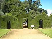 Topiary archways at Somerleyton Hall - geograph.org.uk - 3137956