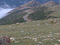 Trail Ridge Road
