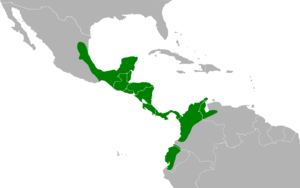 Trogon caligatus map.svg