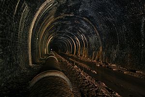 Tunnel Vision - Wenvoe Tunnel