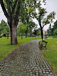 TuzlaPark IV