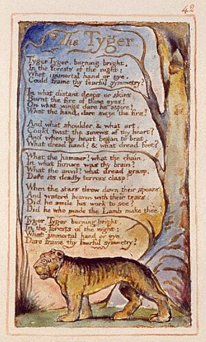 Tyger