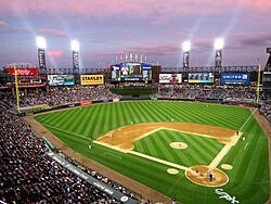 U.S. Cellular Field (30972191694)