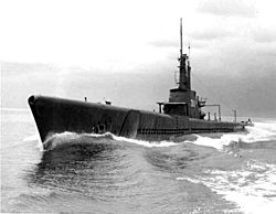 USS Archerfish;0831110