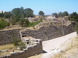 Walls of Troy (2)