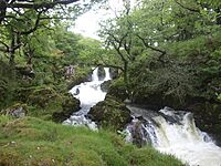 Waterfall on the Afon Goedol - geograph.org.uk - 2434089.jpg