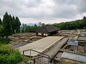 海龙屯 新王宫遗址