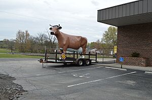 03-29-2025 (23) mayfields cow