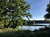 100 Acres lake and vegetation 3.jpg