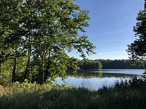 100 Acres lake and vegetation 3
