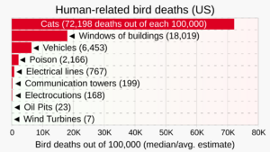 2017 Human-related causes of bird deaths (US)