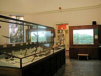 Abbe Museum - interior1