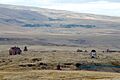 Ani seen from Armenia