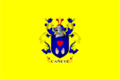 Bandera de San vicente