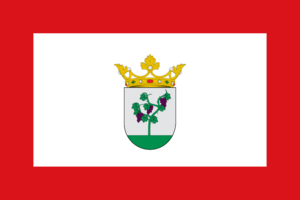 Bandera del Ágreda