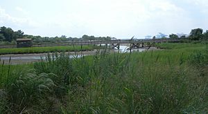 Bayonne wetland park bridge jeh
