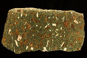 Blairmorite from the Crowsnest Formation