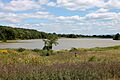 Briar Creek Lake in August