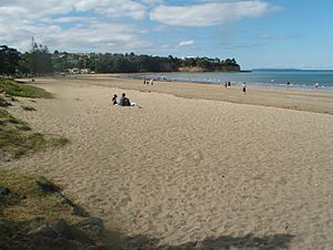 Browns Bay beach, facing North