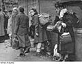 Bundesarchiv Bild 183-H26814, Aachen, Flüchtlinge