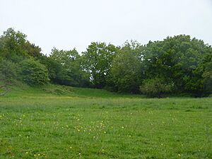 Caerau hillfort, Cardiff
