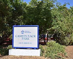 Camel's Back Park (1).jpg