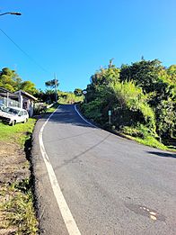 Carretera PR-800, Corozal, Puerto Rico