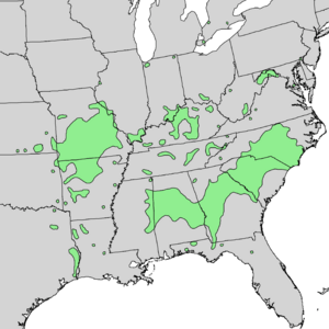 Celtis tenuifolia range map 3.png