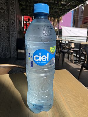Ciel brand water by Coca Cola