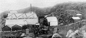 Colonial Ammunition Company works, Auckland
