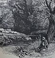 Craigieburn Wood, Moffat by John Leighton FSA