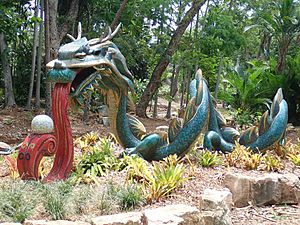 Dragon Darwin Botanic Gardens PB020072