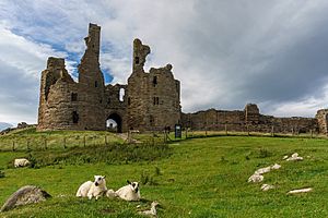 Dunstanburgh Castle 1072017