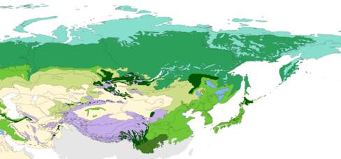 The eastern Palearctic biomes