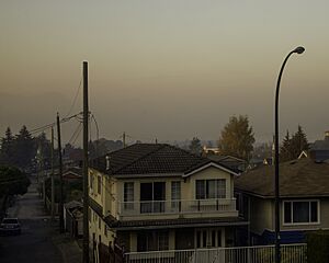 Effects of Wildfire Smoke on Air Quality