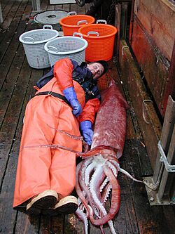 Fish4071 - Flickr - NOAA Photo Library