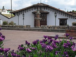 Flores violetas y parque