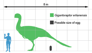 Gigantoraptor size