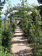 Granville - Jardin de Dior