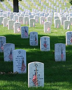 Graves at Arlington on Memorial Day.JPG