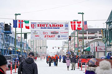 Iditarod start line 2020 (Quintin Soloviev)